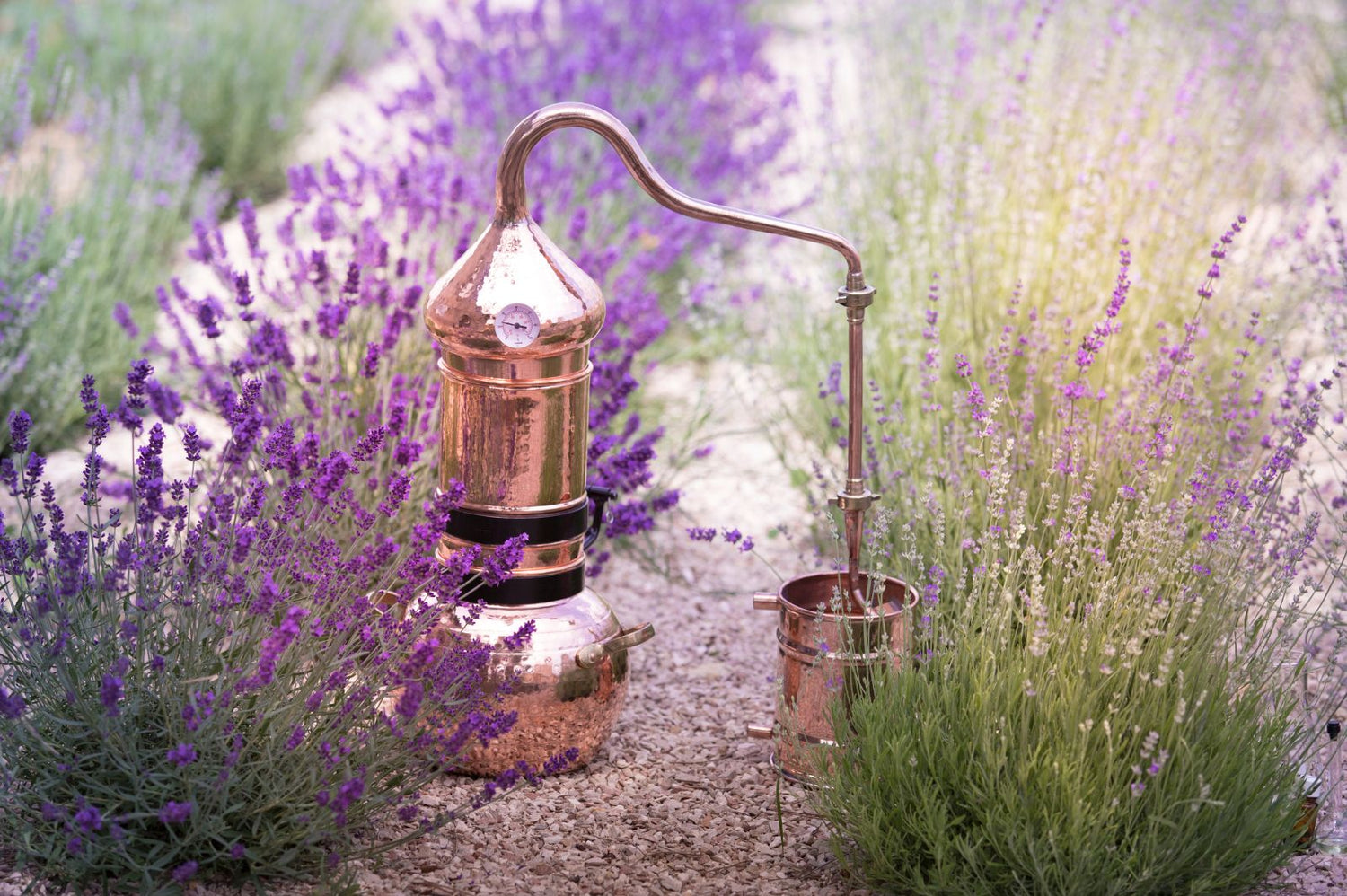Wasserdampfdestillation: Der natürliche Weg zu reinen ätherischen Ölen