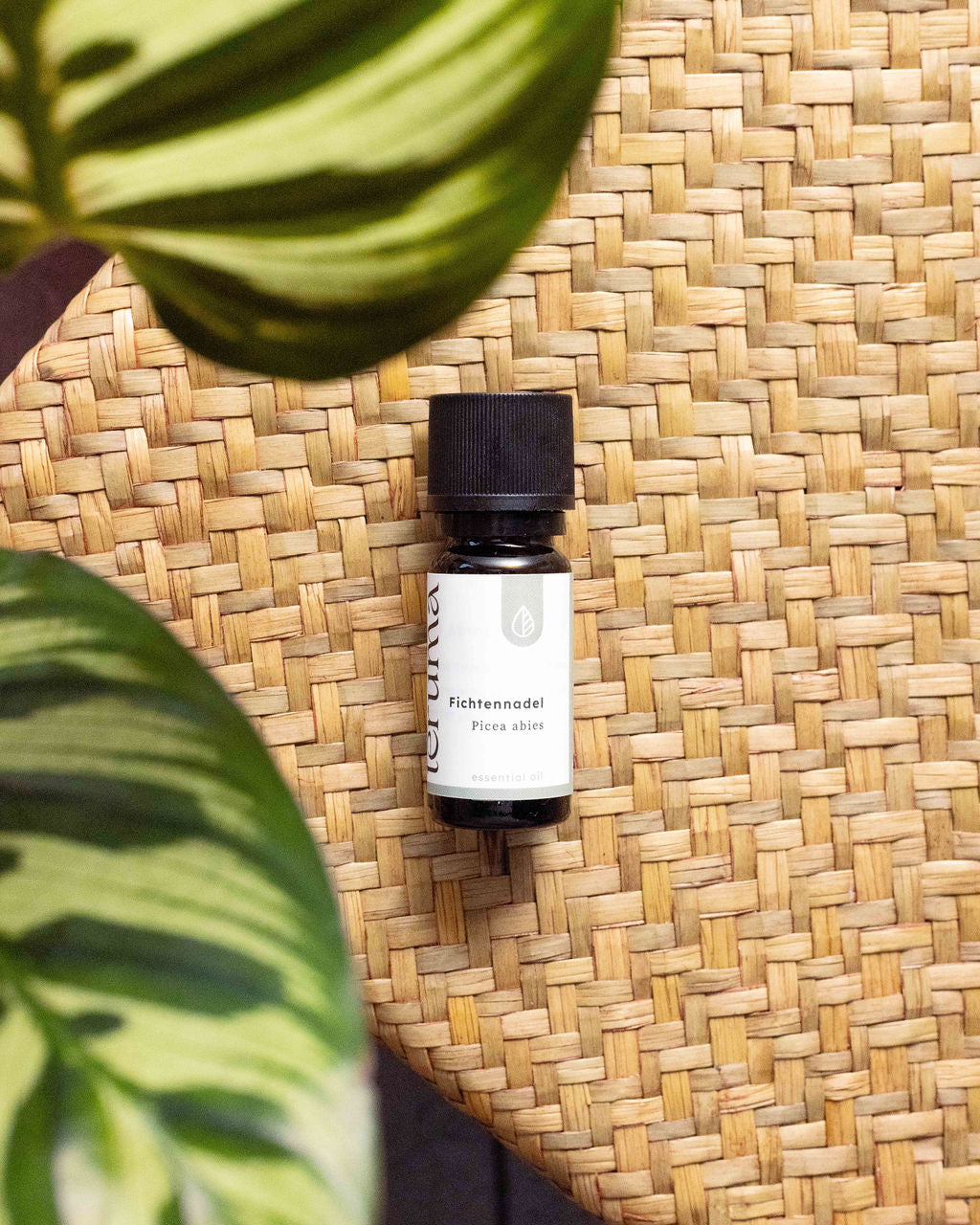 Fichtennadelöl I 10ml