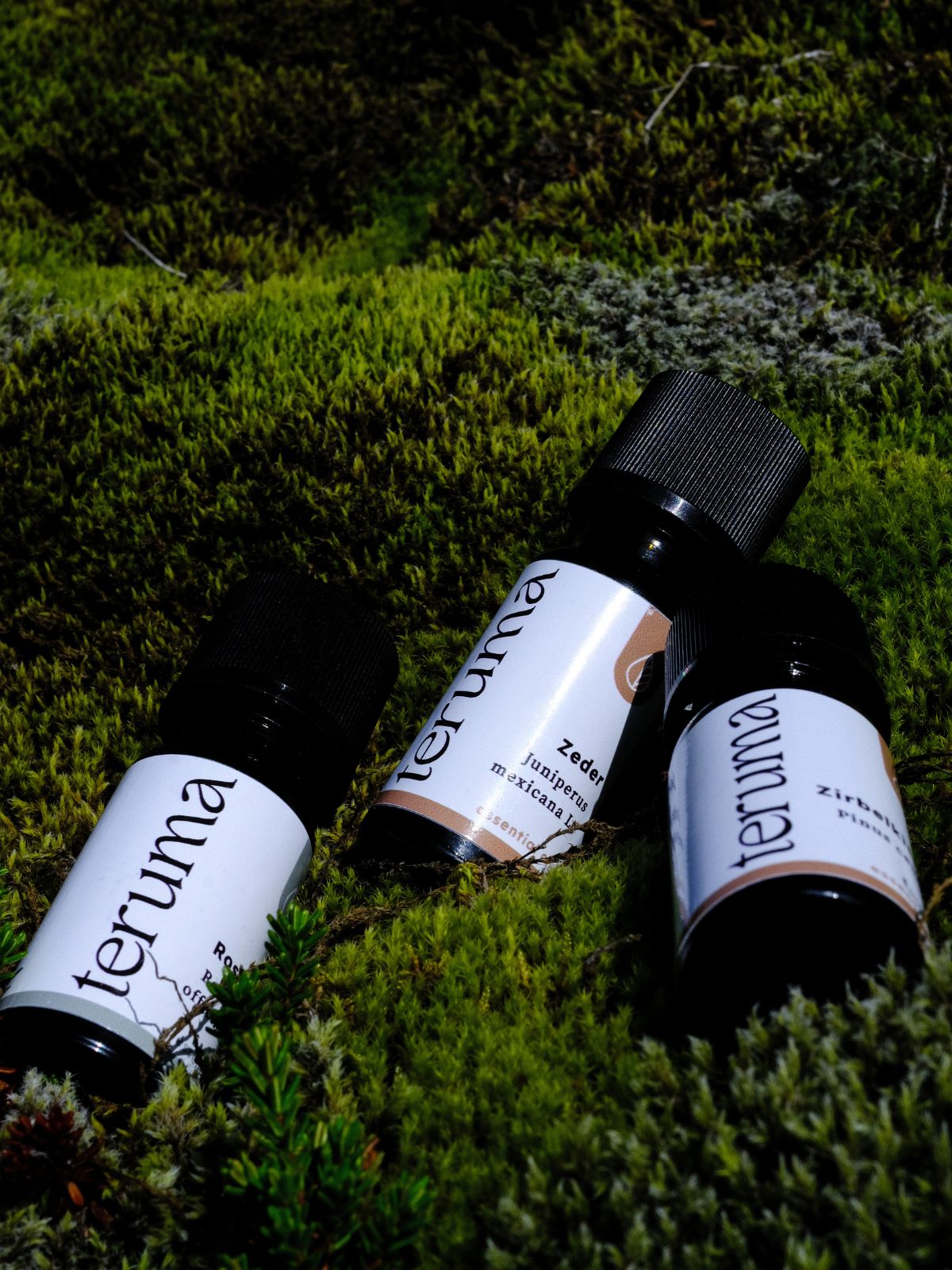 Wald- und Kräuterfrische Set