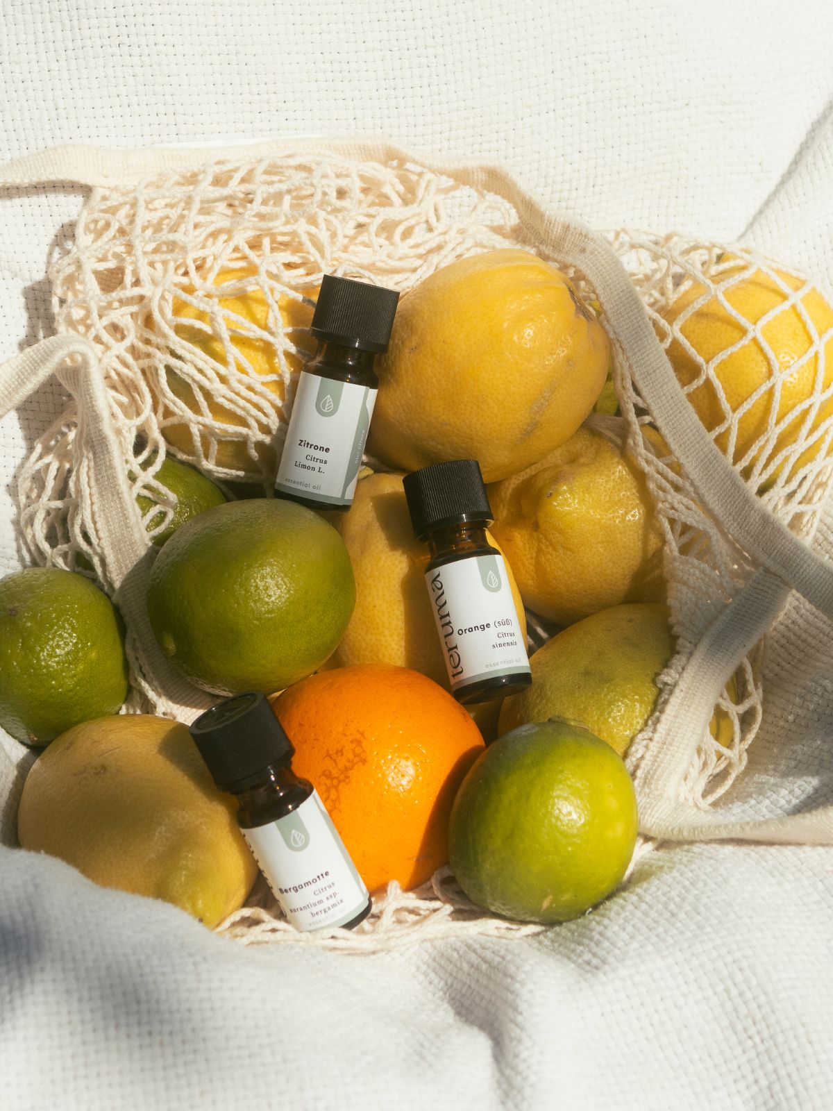Zitrusfrische Set