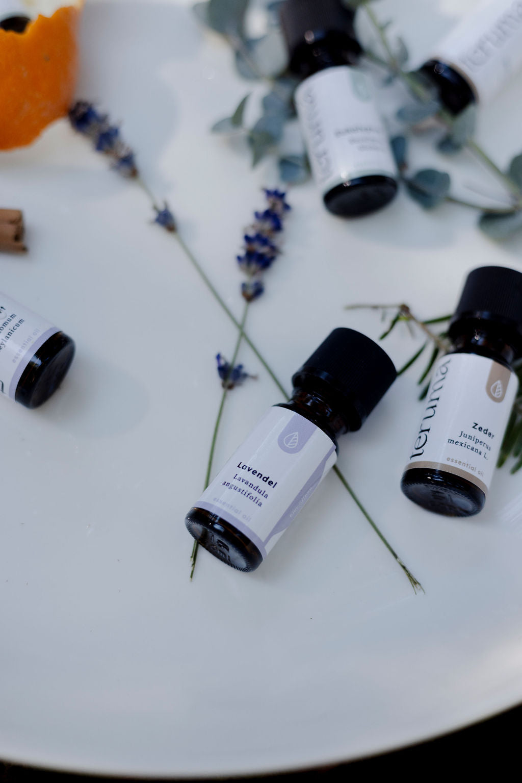Lavendelöl fein I 10ml