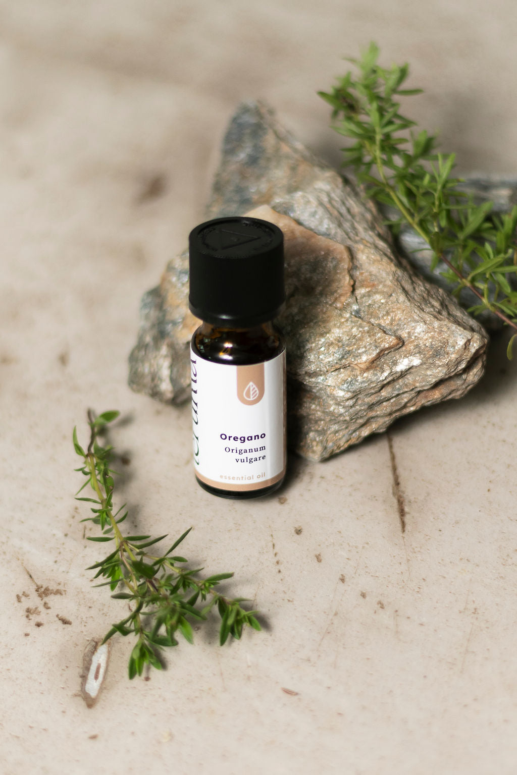 Oreganoöl I 10ml