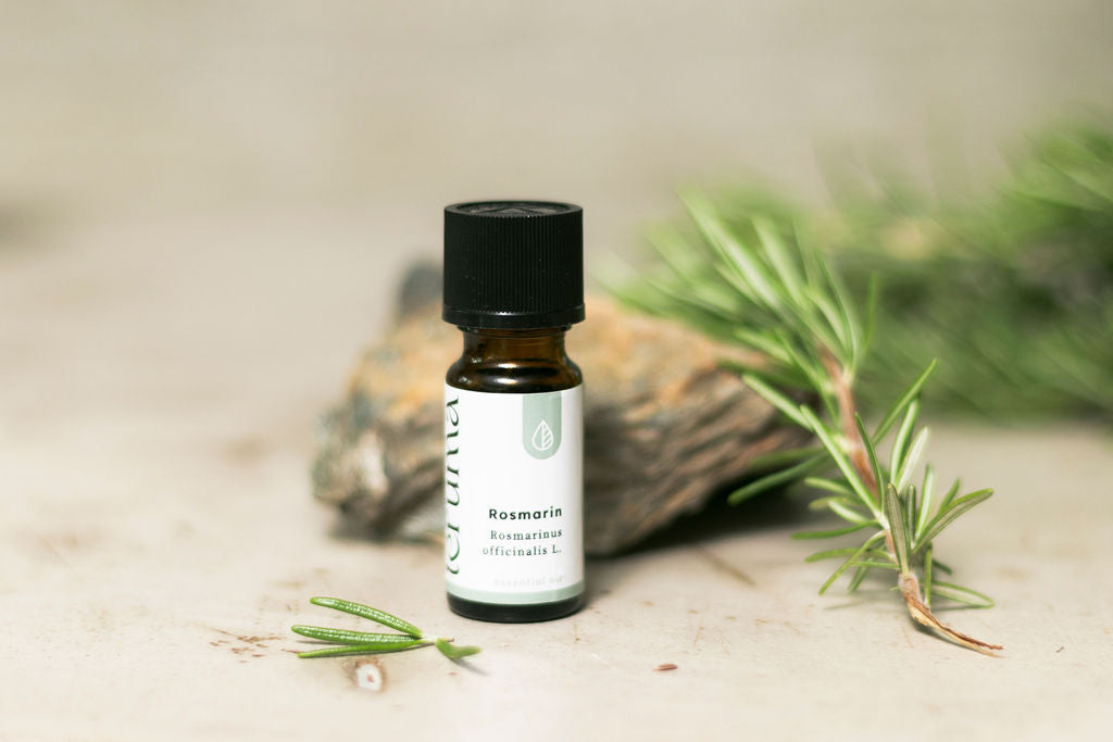 Rosmarinöl I 10ml