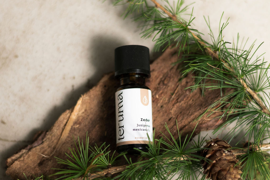 Zedernholzöl I 10ml