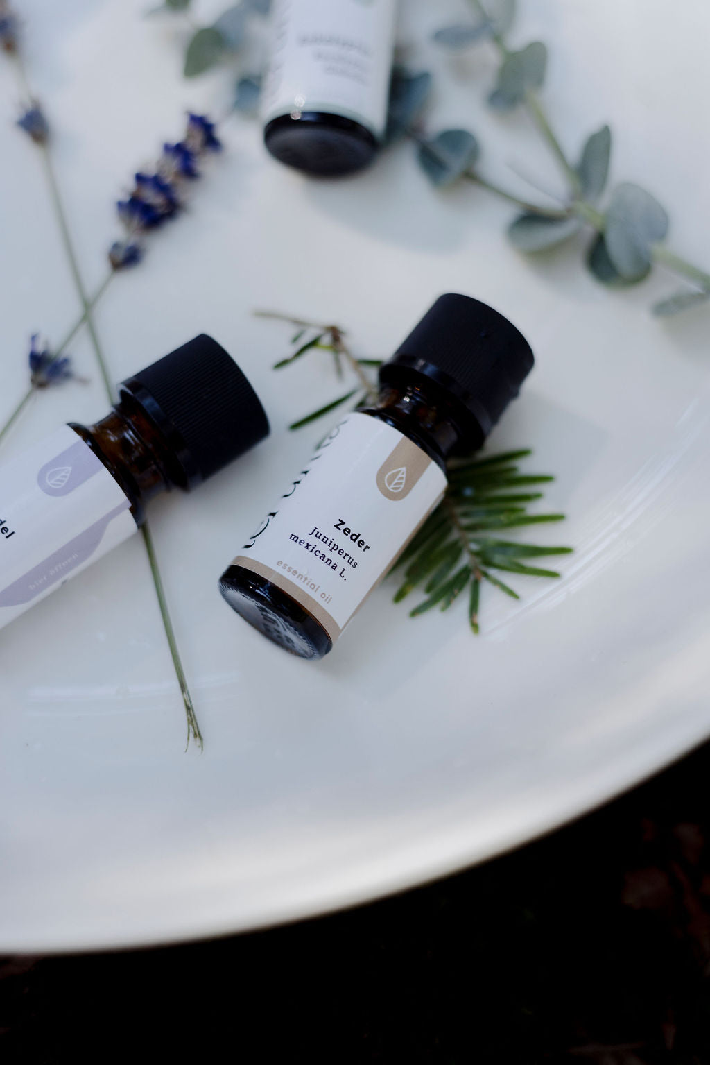 Zedernholzöl I 10ml