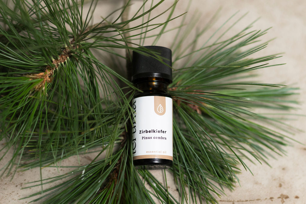 Zirbelkieferöl I 10ml